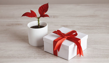 Budget-Friendly Gift Ideas: Thoughtful Presents That Won't Break the Bank