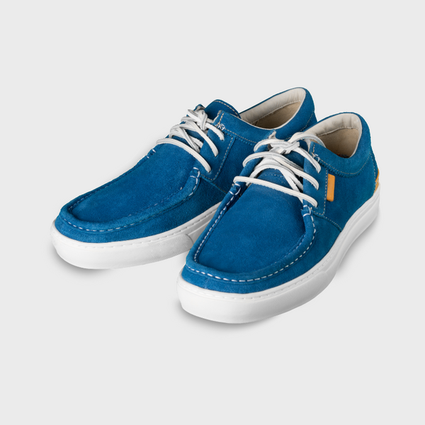 B. Pair of Blue Shoes